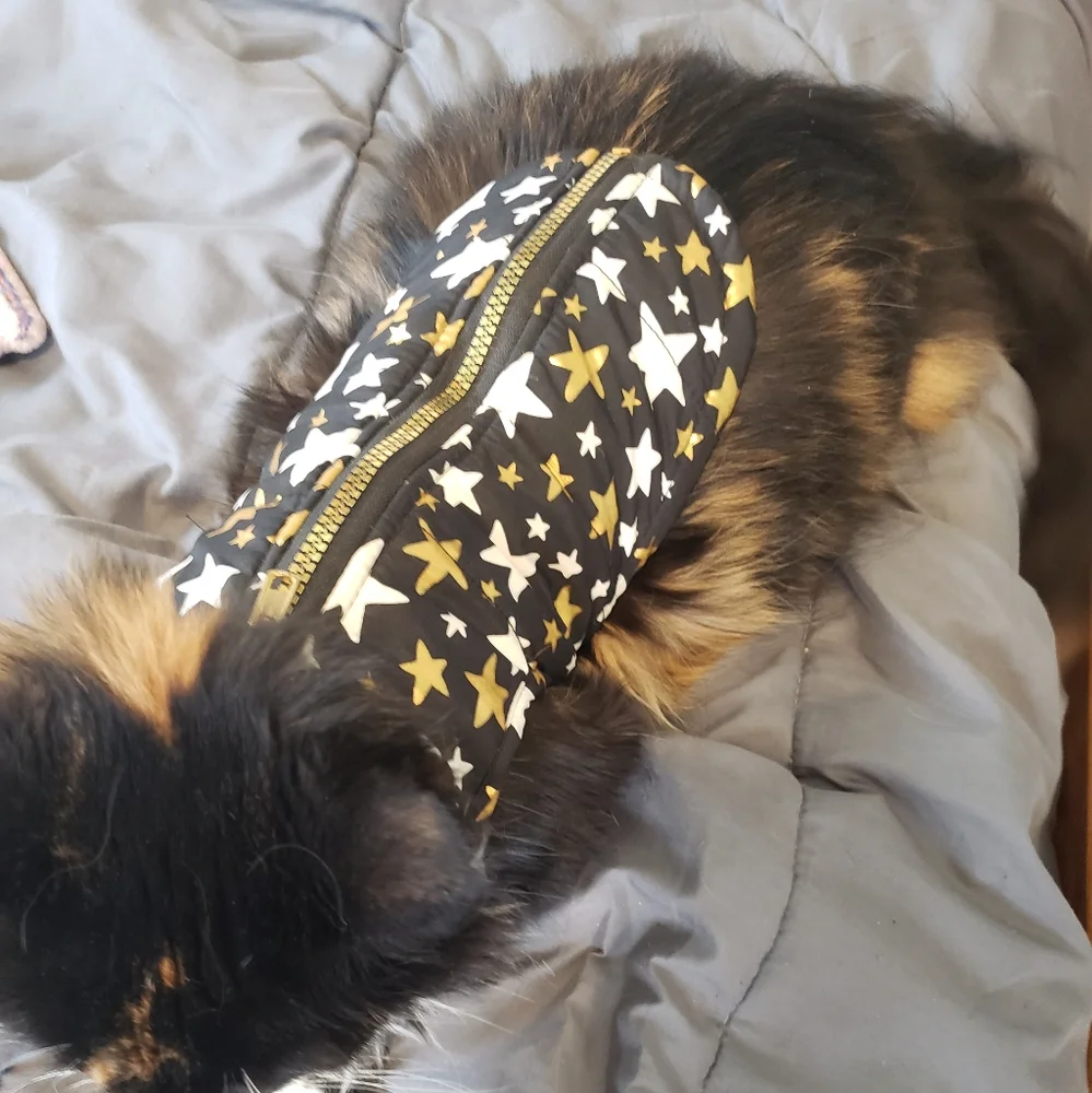 Sz XS, black, gold, and white star vest for cats